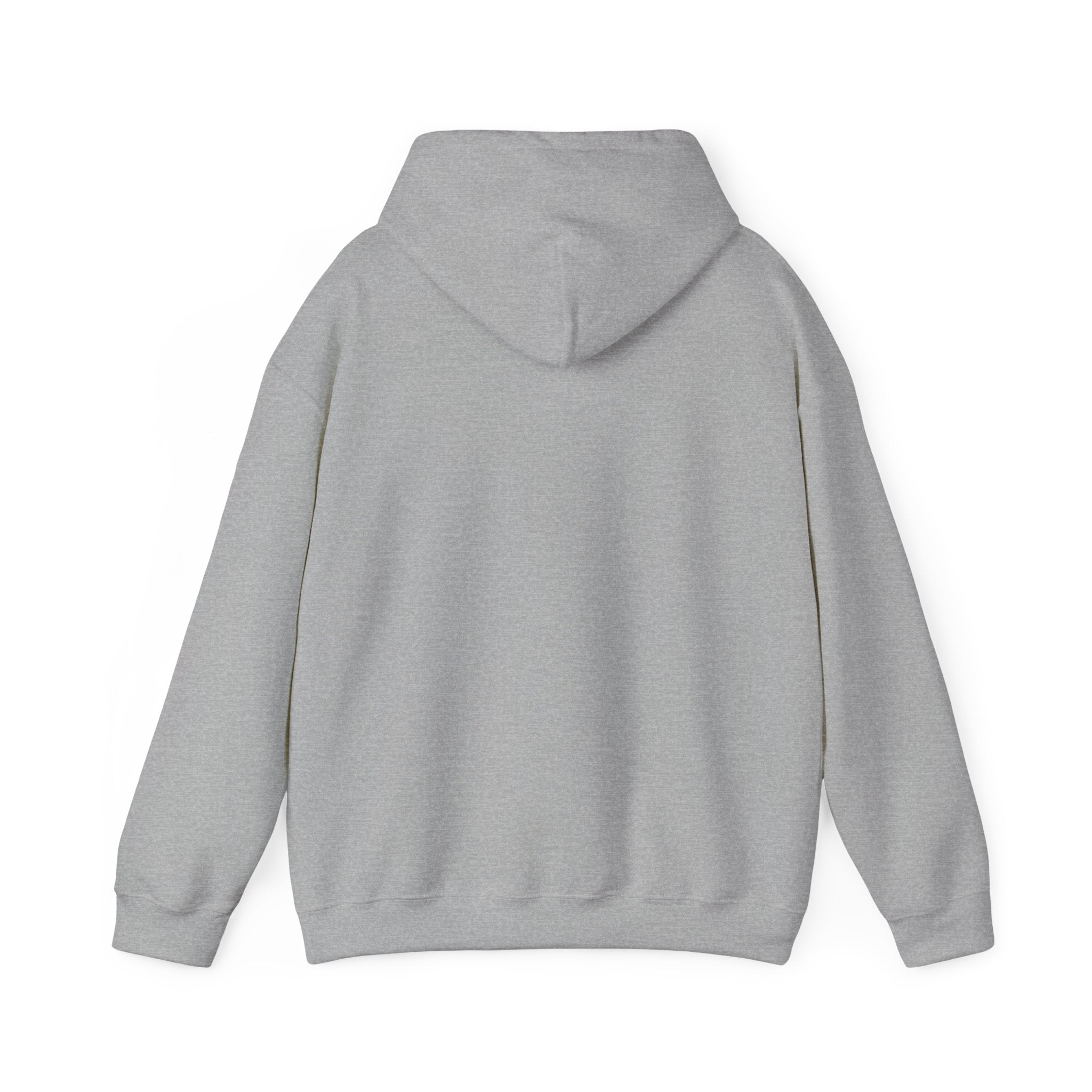 He Risen Shine Hoodie | Christian Easter shirt, faith-based humor