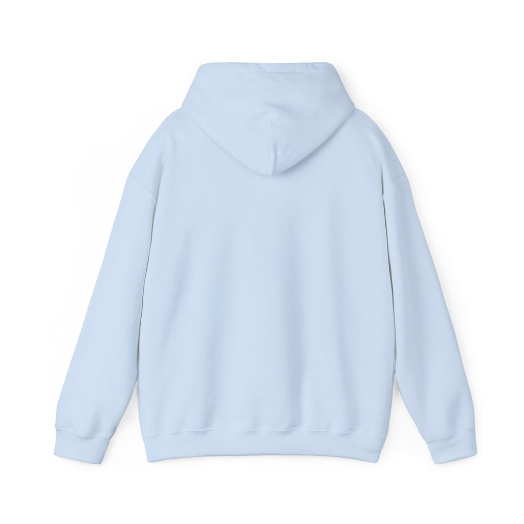 Hoodie — Minimal Script White Pullover "She Looks Like This"