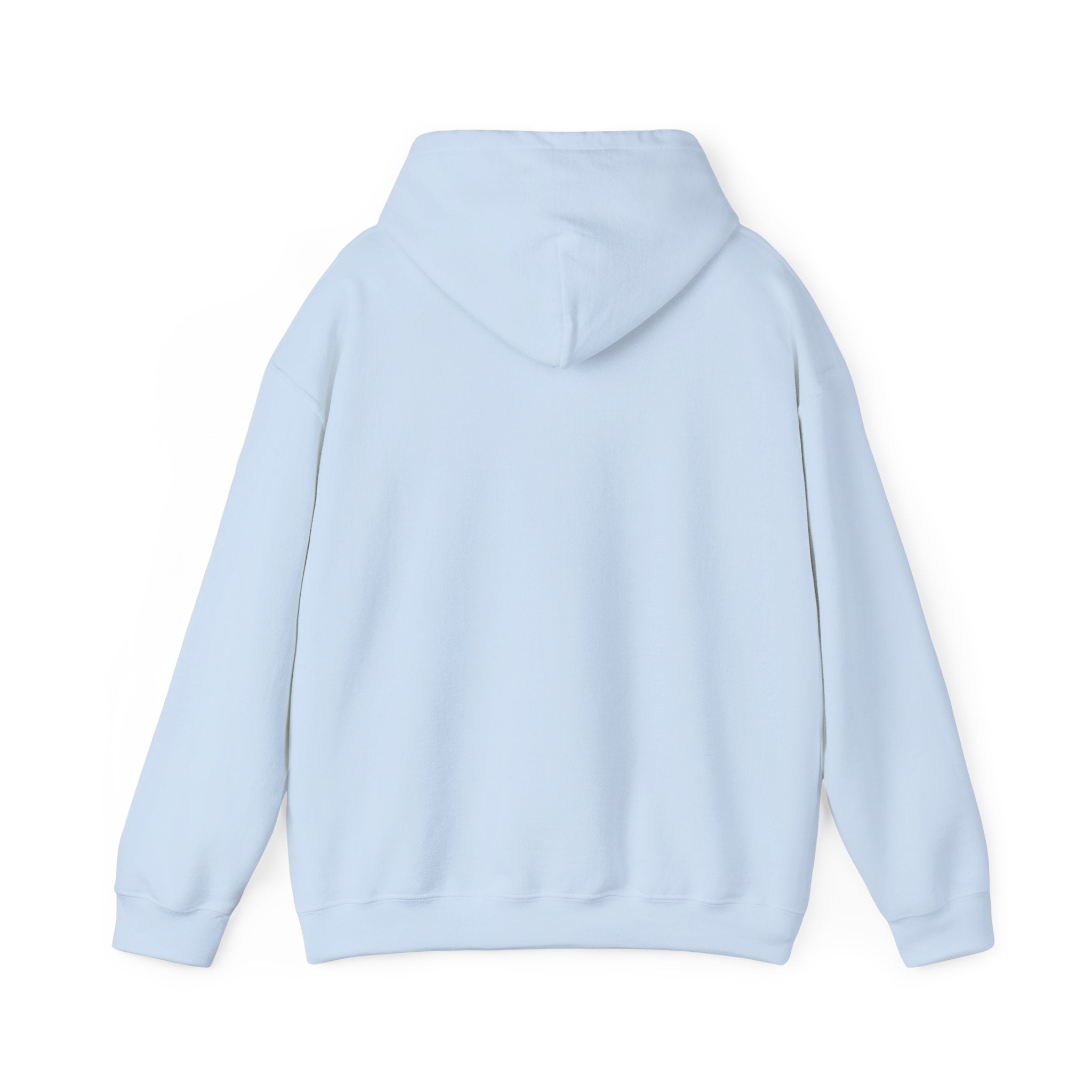 Hoodie — Minimal Script White Pullover "She Looks Like This"