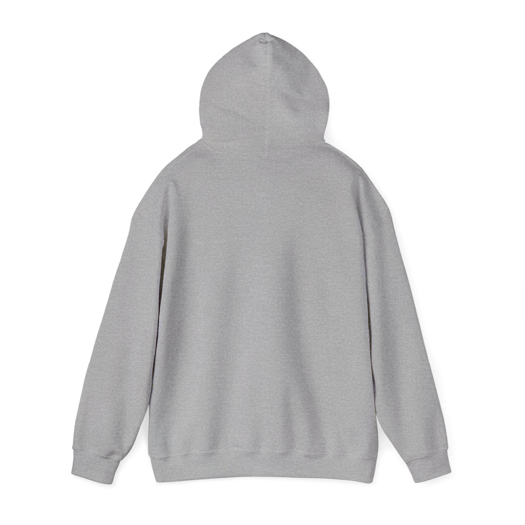 He Risen Shine Hoodie | Christian Easter shirt, faith-based humor