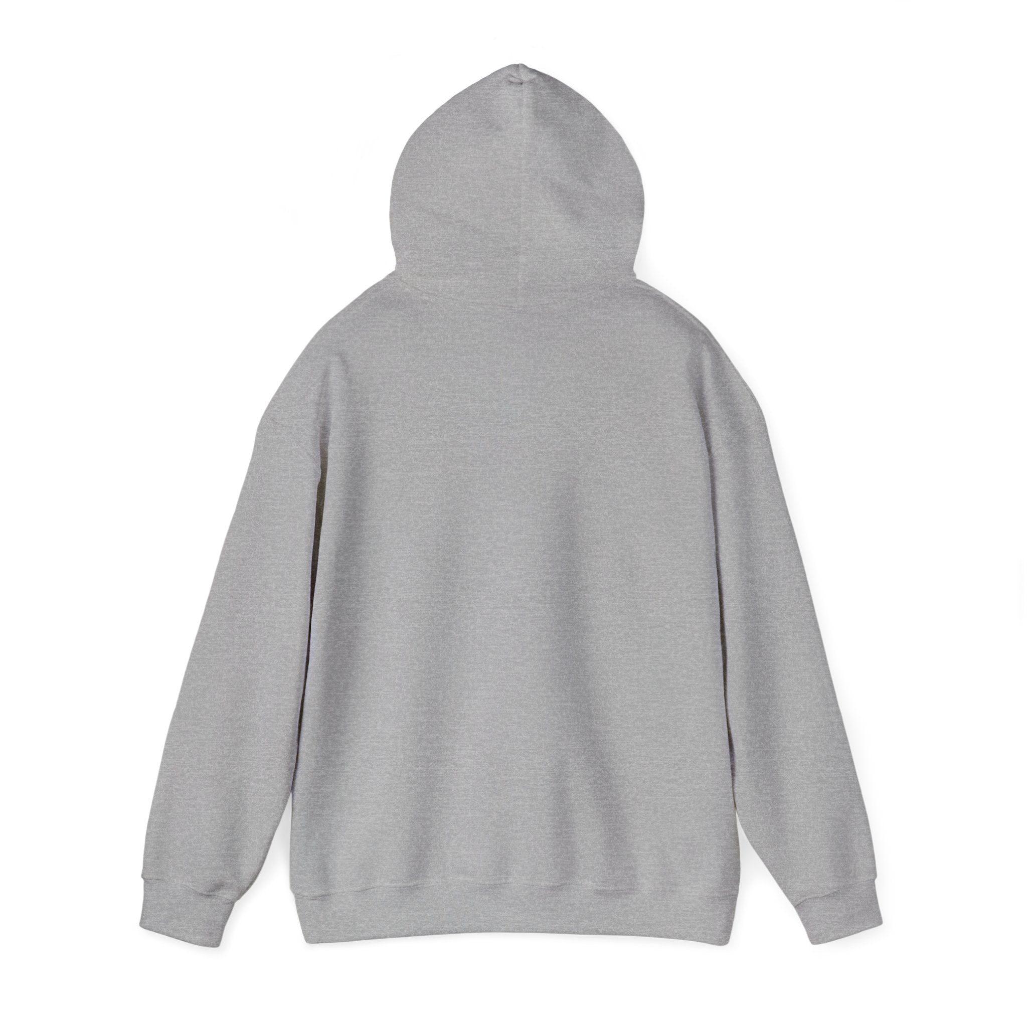 He Risen Shine Hoodie | Christian Easter shirt, faith-based humor