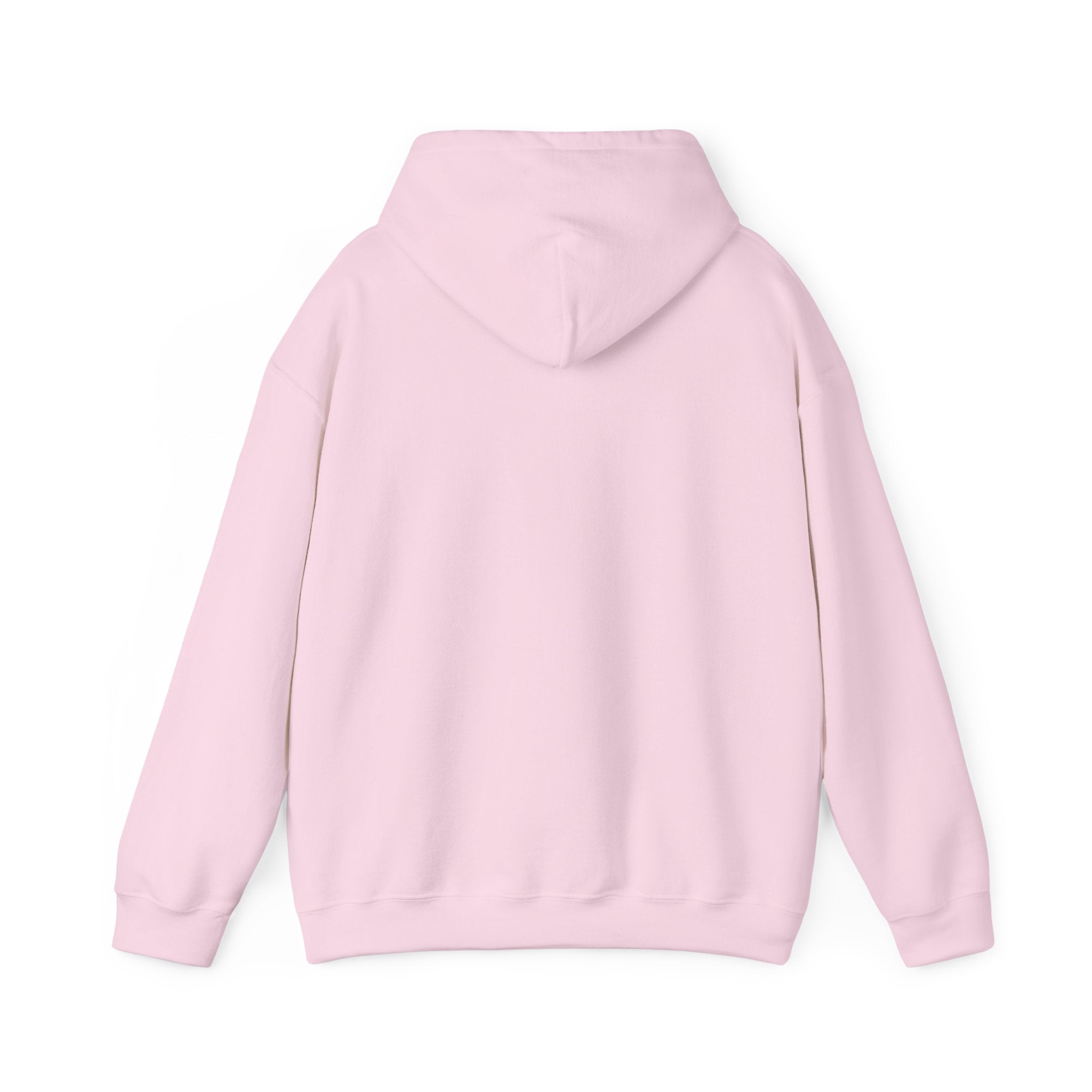 Hoodie — Minimal Script White Pullover "She Looks Like This"