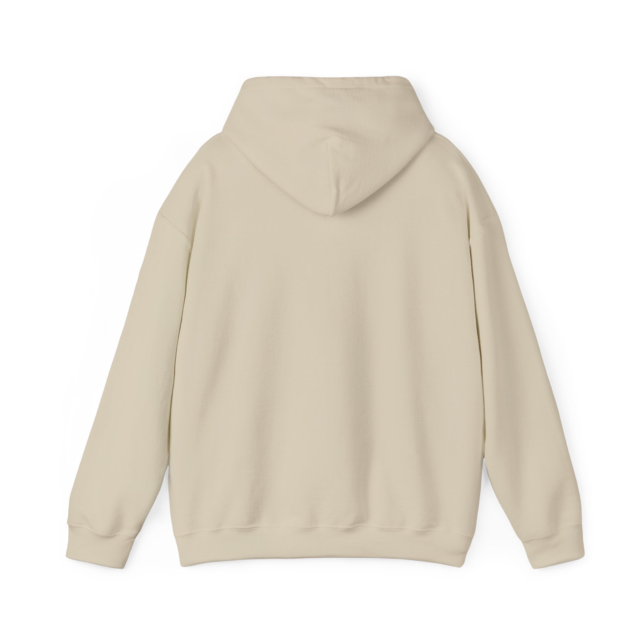 He Risen Shine Hoodie | Christian Easter shirt, faith-based humor