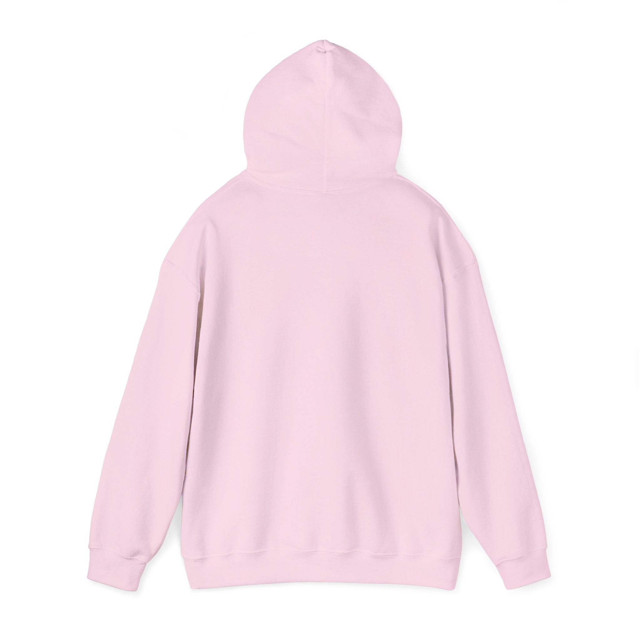 Hoodie — Minimal Script White Pullover "She Looks Like This"