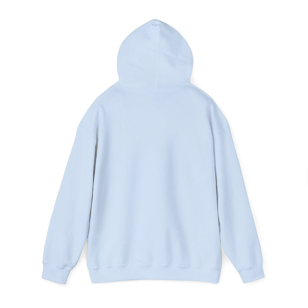 Hoodie — Minimal Script White Pullover "She Looks Like This"