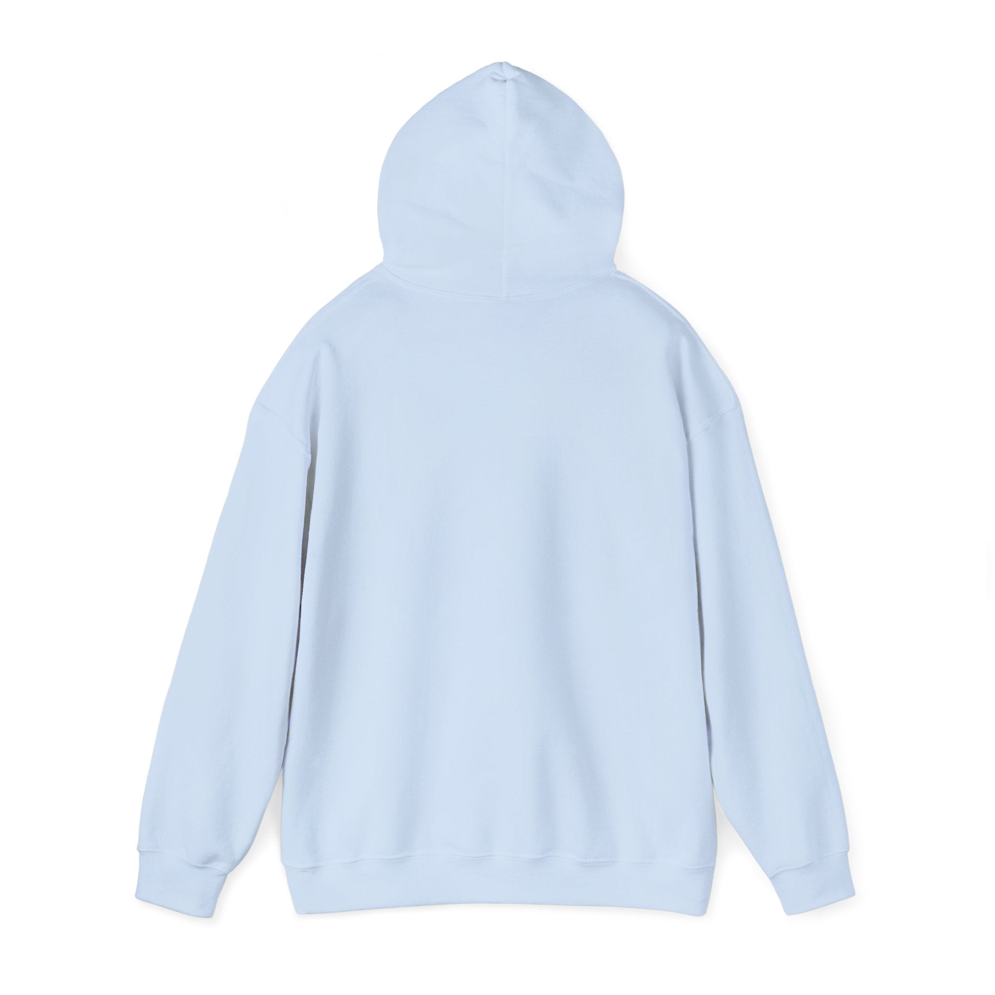 Hoodie — Minimal Script White Pullover "She Looks Like This"