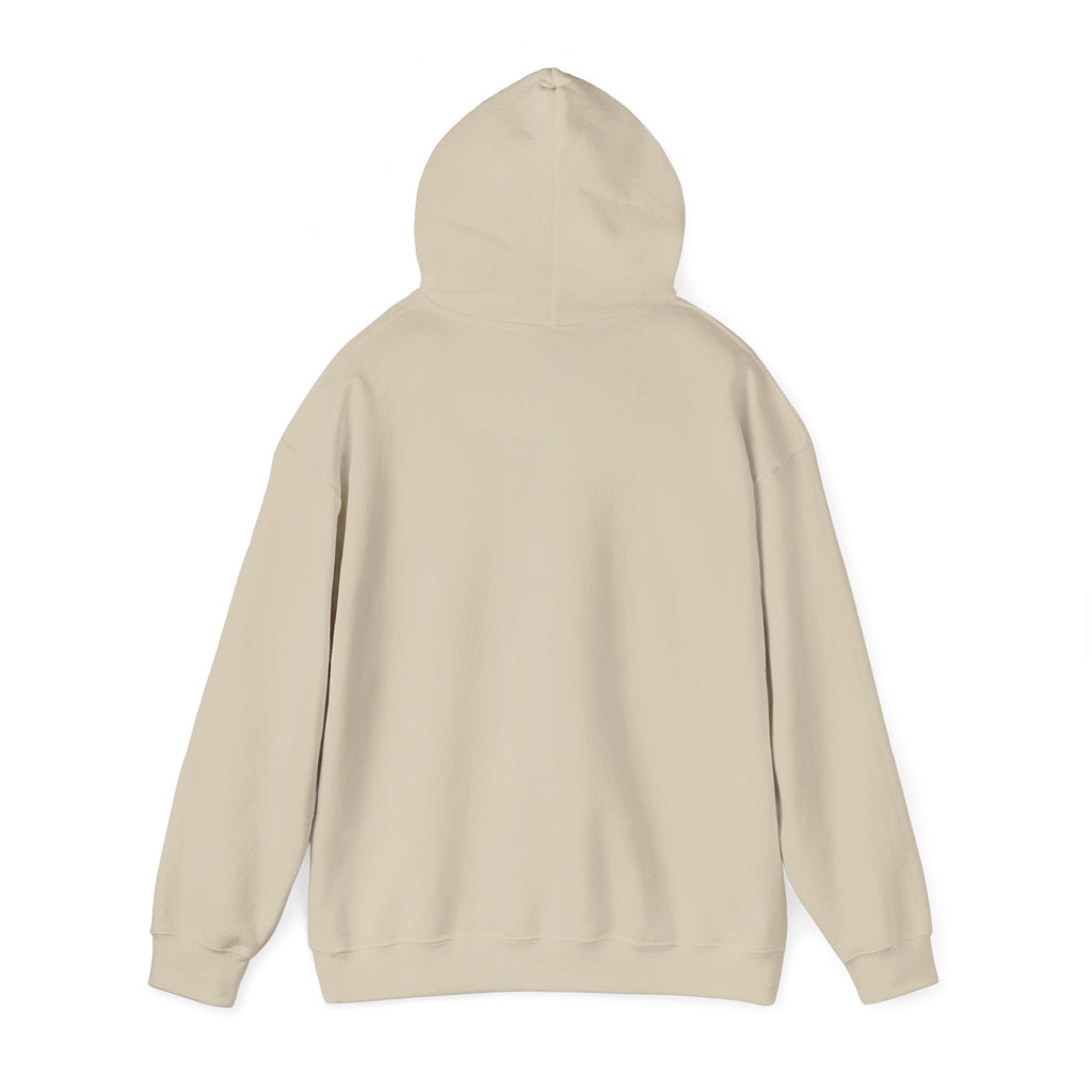 He Risen Shine Hoodie | Christian Easter shirt, faith-based humor