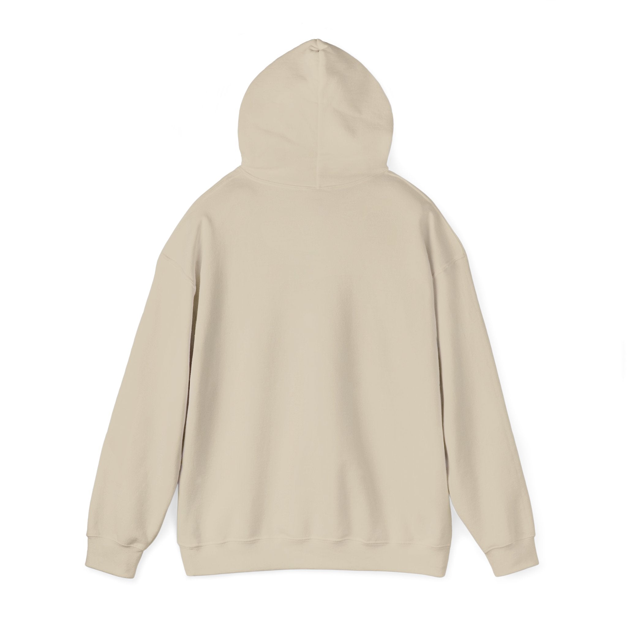 He Risen Shine Hoodie | Christian Easter shirt, faith-based humor